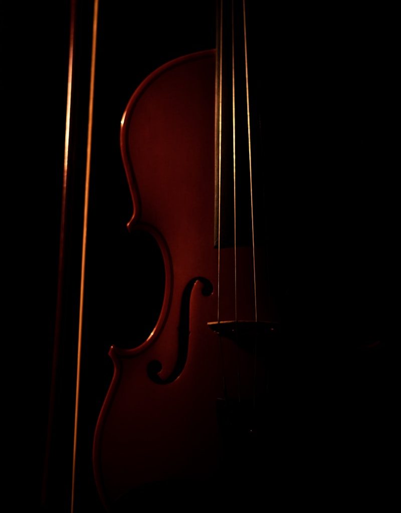 brown violin with black background